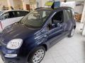 usato FIAT Panda