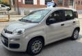 usato FIAT Panda