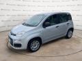 usato FIAT Panda