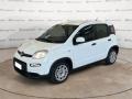 usato FIAT Panda