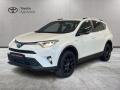 usato TOYOTA RAV 4