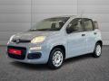 usato FIAT Panda