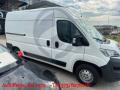 usato FIAT Ducato