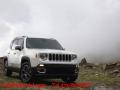 usato JEEP Renegade