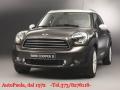 usato MINI Countryman