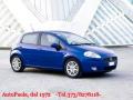 usato FIAT Grande Punto