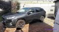 usato TOYOTA RAV 4 MY23
