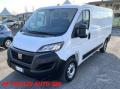 usato FIAT Ducato