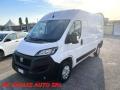 usato FIAT Ducato