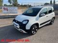 usato FIAT Panda