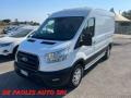 usato FORD Transit