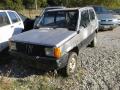 usato FIAT Panda