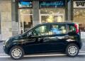usato FIAT Panda