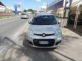 usato FIAT Panda