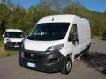 usato FIAT Ducato