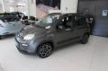 usato FIAT Panda