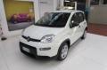 usato FIAT Panda