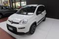 usato FIAT Panda