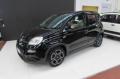 usato FIAT Panda
