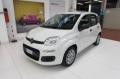 usato FIAT Panda