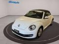 usato VOLKSWAGEN Maggiolino