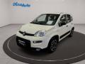 usato FIAT Panda
