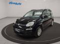 usato FIAT Panda