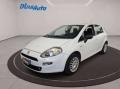 usato FIAT Punto