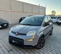 usato FIAT Panda