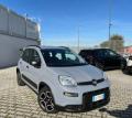 usato FIAT Panda
