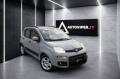 usato FIAT Panda