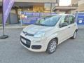 usato FIAT Panda