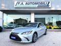 usato LEXUS ES 300