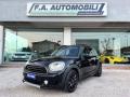 usato MINI Countryman
