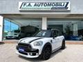 usato MINI Countryman