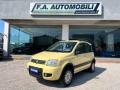 usato FIAT Panda