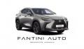 usato LEXUS NX 300h