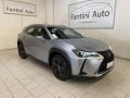 usato LEXUS UX 250h