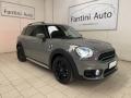usato MINI Countryman