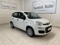 usato FIAT Panda