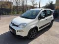 usato FIAT Panda