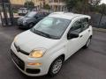 usato FIAT Panda
