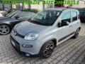 usato FIAT Panda
