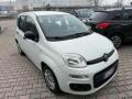 usato FIAT Panda