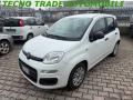 usato FIAT Panda