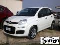 usato FIAT Panda