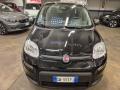 usato FIAT Panda