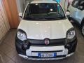 usato FIAT Panda Cross
