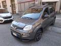 usato FIAT Panda