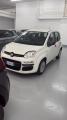 usato FIAT Panda